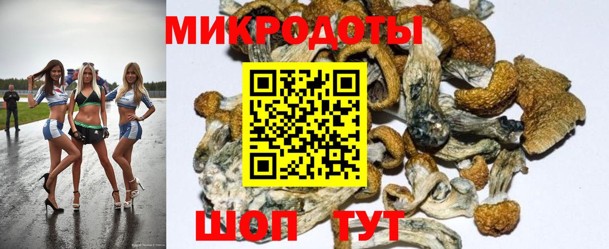 Галлюциногенные грибы Psilocybe  Вход с VPN  Лесосибирск 